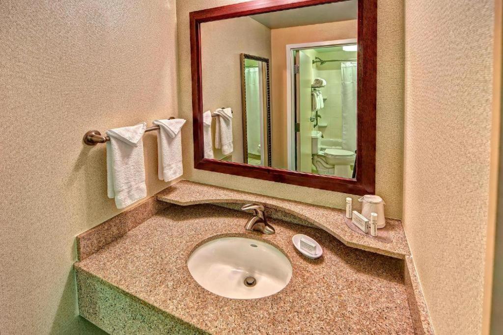 Springhill Suites Norfolk Old Dominion University Экстерьер фото